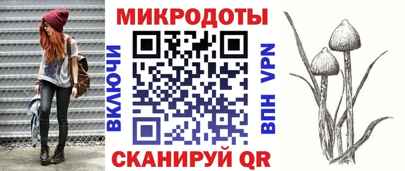 Псилоцибиновые грибы GOLDEN TEACHER  OMG как зайти  Вольск  где можно купить наркотик 